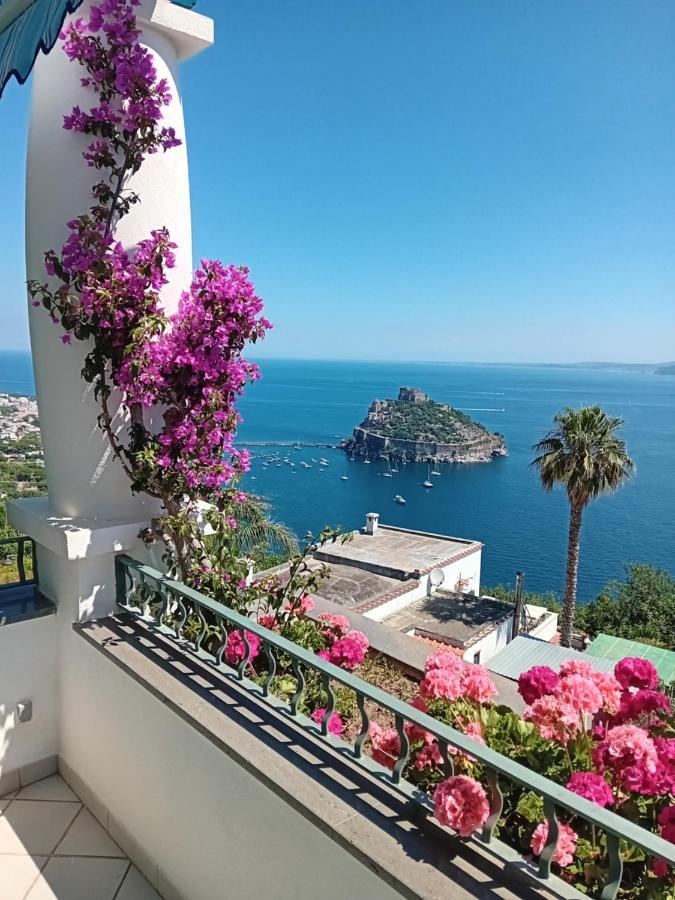 La Pergola Del Torchio Bed & Breakfast
