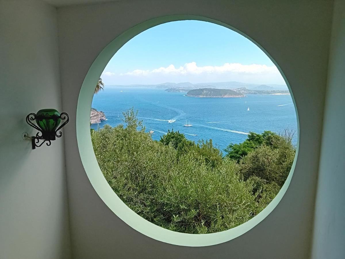 Bed & Breakfast La Pergola Del Torchio Ischia