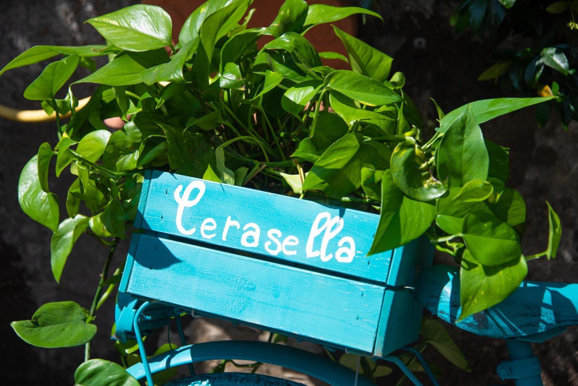 Cerasella Ischia