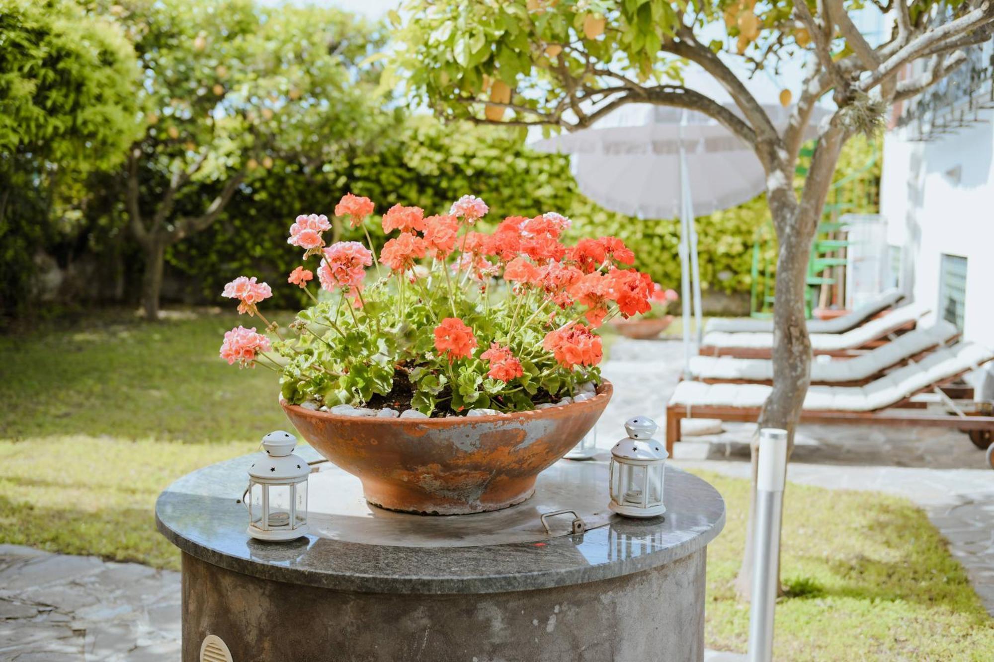 Cerasella Bed & Breakfast