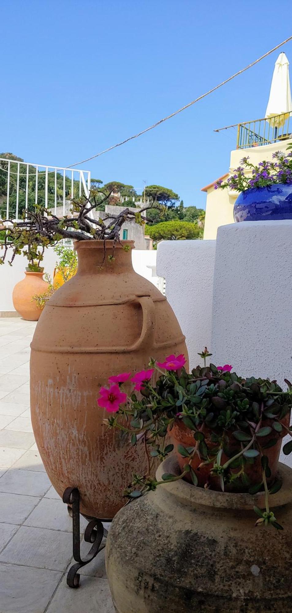Gigi Centralissimo Lacco Ameno Apartment Ischia