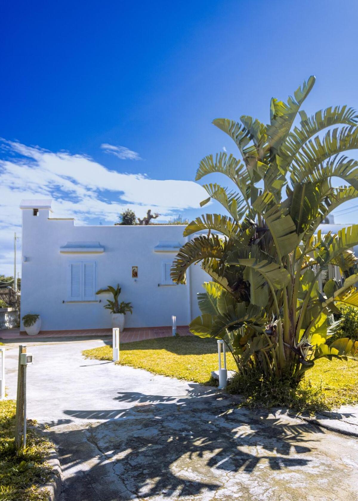 Botanica Di 75mq A Lacco Ameno Villa *