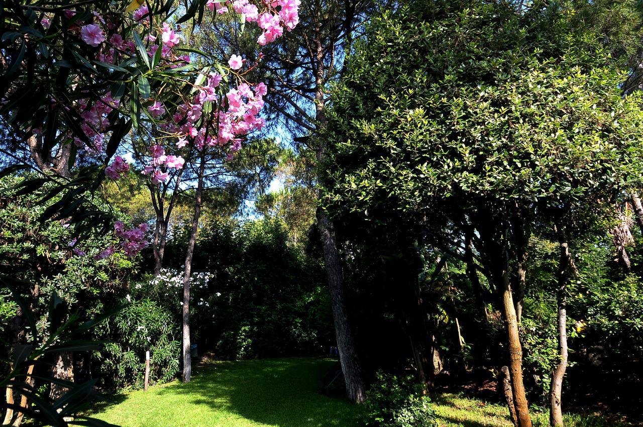 Punta Molino Beach Resort & Thermal Spa 5*