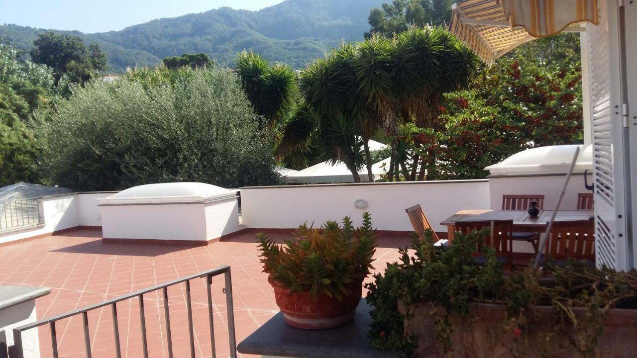 La Terrazza Dell^ippocampo #seaview Apartment Ischia